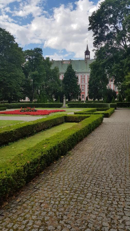 Chopin Park Lux Apartment, Self Check-In 24H, Free Parking, Air-Conditioning Poznań Extérieur photo